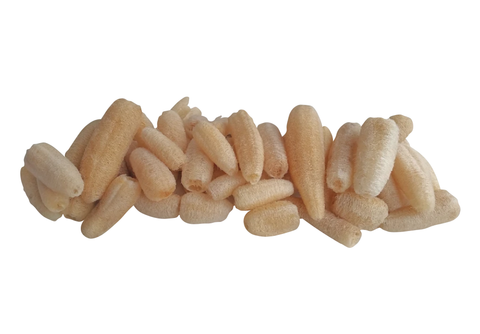 Luffa Sponge - Choose Your Size
